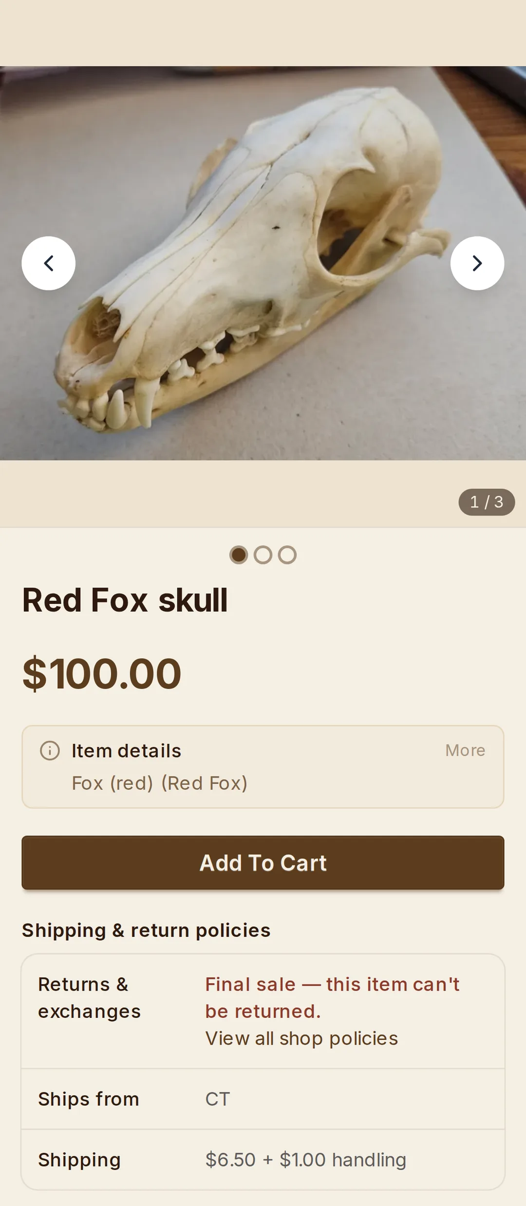 A live listing on Ethically Fur: a red fox skull from TJD Skull Works, $100, with its photos, species, shipping and return policy